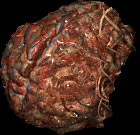 传奇2所有NPC效果代码编号 传奇2所有NPC效果代码编号